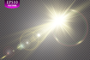 Vector transparent sunlight special lens flare light effect.