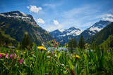 Fototapeta Krajobraz - Vilsalpsee im Tannheimer Tal mit Blumenwies und Bergkulise im Frühling