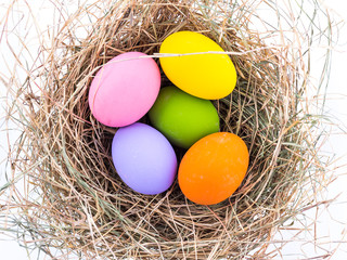 color eggs