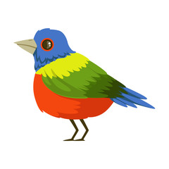 Sticker - Colorful tropical bird vector Illustration