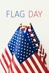 Wall Mural - text flag day and american flag