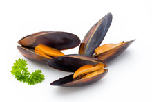 Mussels Isolated On White Background. Sea Food.