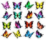 Fototapeta  - Colorful butterflies set. Vector.