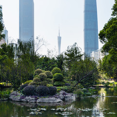 Canvas Print - pond in Zhujiang urban park in Guangzhou city