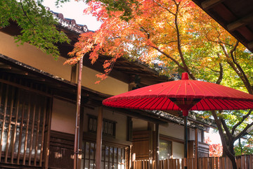Wall Mural - Japanese traditional house & garden in autumn　紅葉の日本庭園と日本家屋