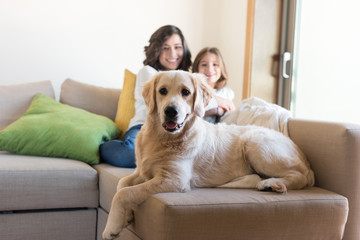 Poster - Dog with human family at home