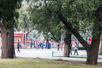 Poster - visitors in public park in Beijing in spring