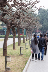 Poster - people on alley in public park in Beijing