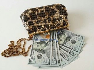 American dollars in women's purse, closeup