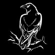 Raven isolated vector illustration