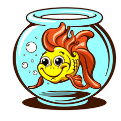 Goldfish domestic pet vector illustration