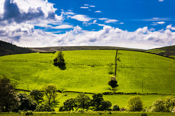 Poster - A view on the hill on English countryside, Springtime in Forest of Bowland, Lancashire, England UK