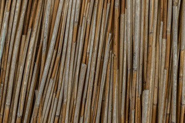  Pile of dry cane