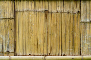 Wall Mural - Bamboo bark texture