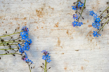 Frame Of Forget Me Not Flowers On A Wooden Background With Copy Space For Your Text