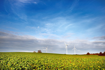 Agricultural field with crops with wind turbines in the background