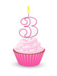 Pink Birthday Cupcake for 3rd Birthday
