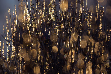 Firework like natural nature background of ice and sunlight.