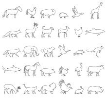 One Line Animals Set, Logos. Vector Stock Illustration. Turkey And Cow, Pig And Eagle, Giraffe And Horse, Dog And Cat, Fox And Wolf, Dolphin And Shark, Deer And Elephant, Stork And Chicken.