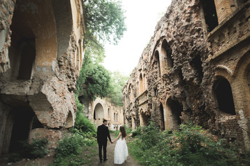 Amazing happy gentle stylish beautiful romantic caucasian couple on the background ancient baroque castle