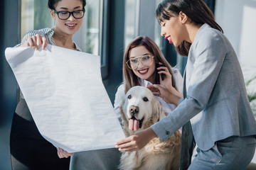 Wall Mural - Smiling young businesswomen working with blueprint while playing with dog in office