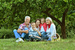 © aletia2011 - Portrait of big family resting