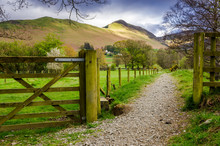 Footpath In The Lake District