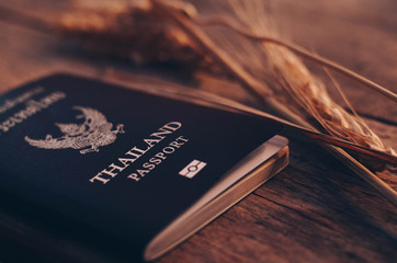 Passport Travel Plan concept