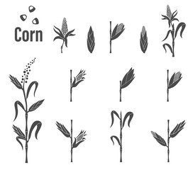 Wall Mural - Corn icon - vector illustration.