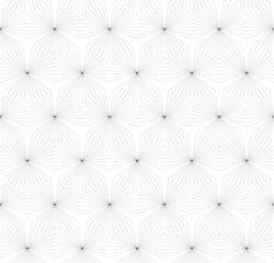 Poster - Abstraknyj monochrome pattern of lines and angles. Floral motifs.