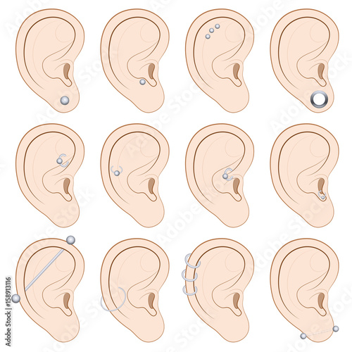 Ear Piercings Chart Twelve Different Illustrated Examples
