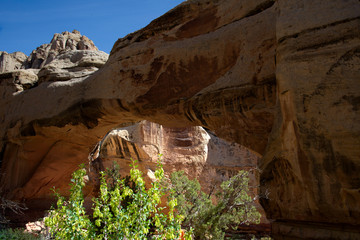 Hickman Bridge B