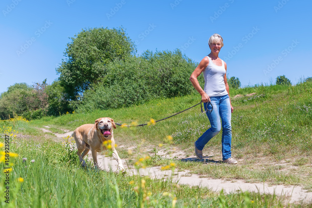 mature woman hiking with dog in the landscape Stock Photo | Adobe Stock