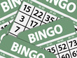 © Elaine Barker - Green bingo cards background