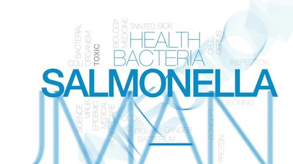 Wall Mural - Salmonella animated word cloud, text design animation. Kinetic typography.