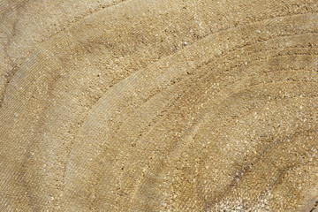 Poster - wood