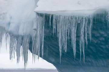 Wall Mural - Iceberg and icicles in Antarctica