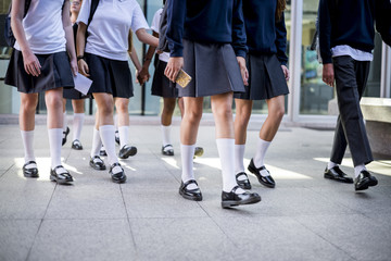 Wall Mural - group of students walking at school