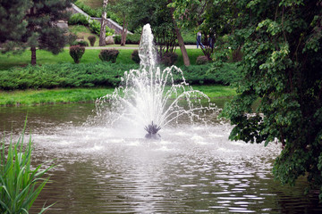 Fountain in the middle of a green garden