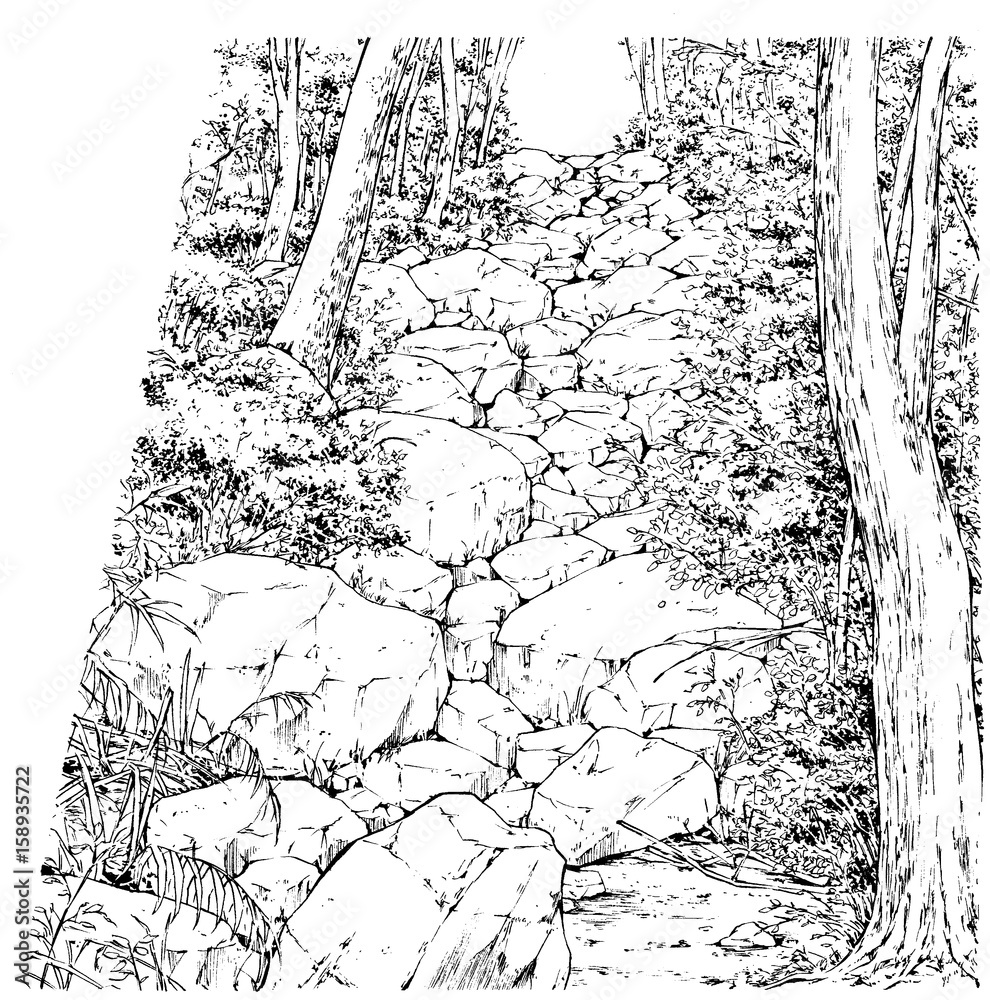 イラスト（ペン画 漫画風ペン画イラスト 森 Stock Illustration | Adobe Stock