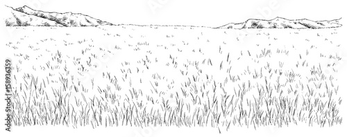漫画風ペン画イラスト 草原 Stock Illustration Adobe Stock 漫画風ペン画イラスト 草原 Stock Illustration Adobe Stock