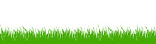 Green Grass On White Background - Vector