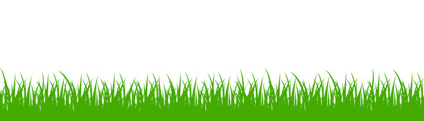 green grass on white background - vector