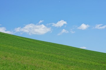 Grass horizon