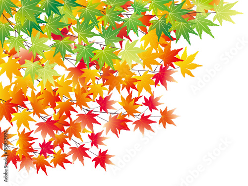 最良の選択 紅葉 イラスト Ai イラストトップダウンロード 最良の選択 紅葉 イラスト Ai イラストトップダウンロード