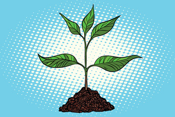 green sprout in the ground