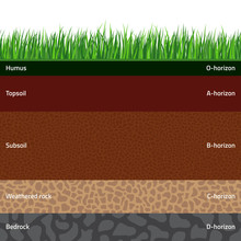 Seamless Named Soil Layers With Green Grass On Top. The Stratum Of Organic, Minerals, Sand, Clay, Silt, Parent Rock And Unweathered Parent Material.
