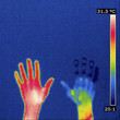 © RFBSIP - Thermogram