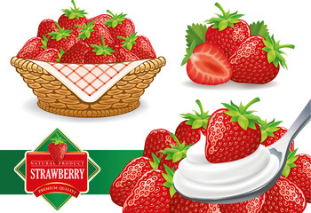 set of different strawberry groups