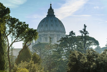 Sight Of The Dome Of The Basilica Of Saint Peter From The Gardens Of City Of The Vatican In Rome, Italy.